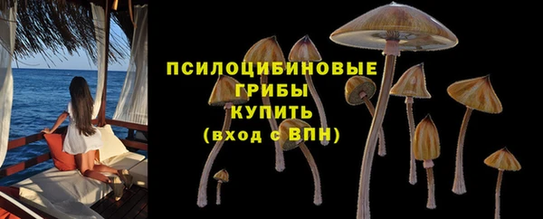 COCAINE Ладушкин