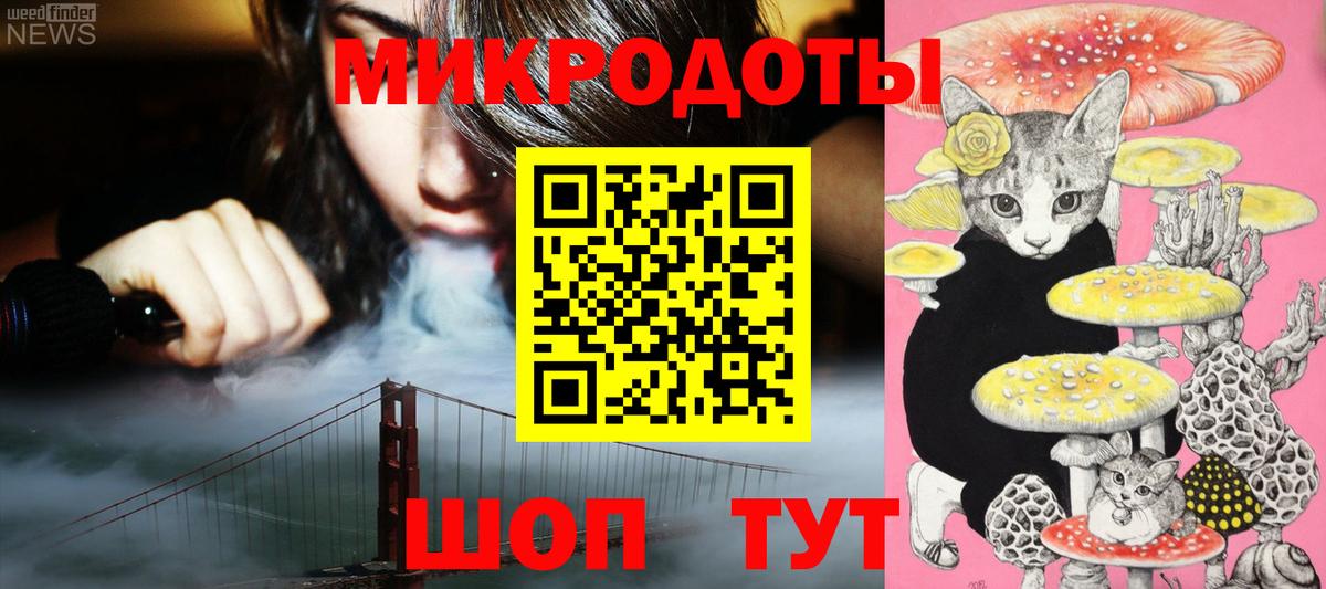 Галлюциногенные грибы GOLDEN TEACHER  Псилоцибиновые грибы мицелий  Черняховск 