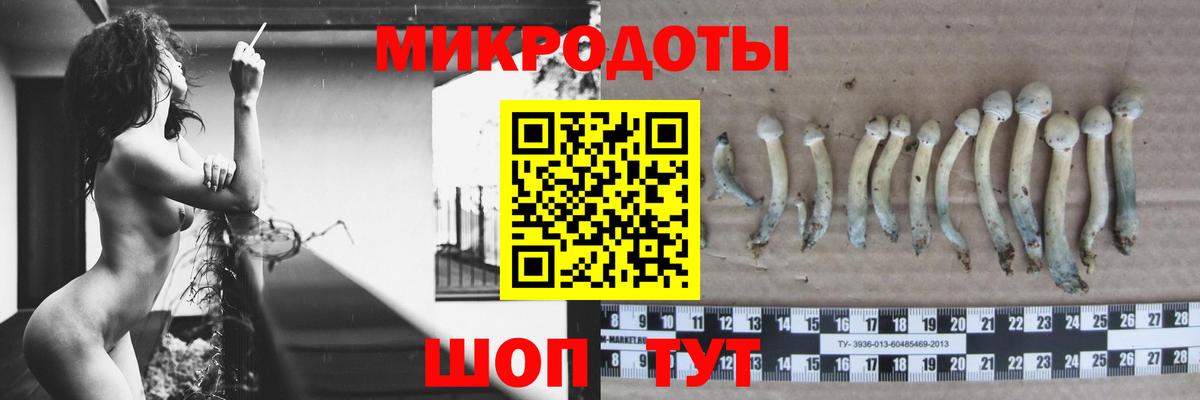 Псилоцибиновые грибы прущие грибы  Вход с VPN  Черняховск  Галлюциногенные грибы MAGIC MUSHROOMS 