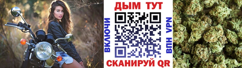 наркотики  ОМГ ОМГ tor  Каннабис AK-47  Черняховск 